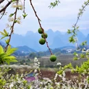 桂林旅游 缩略图 10