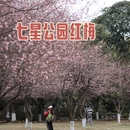 桂林旅游 缩略图 3