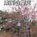 桂林旅游 缩略图 7