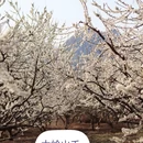 桂林旅游 缩略图 6