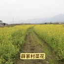 桂林旅游 缩略图 5
