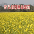 桂林旅游 缩略图 4