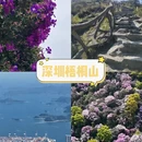 佛山旅游 缩略图 4