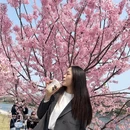 桂林旅游 缩略图 4