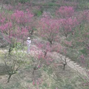 佛山旅游 缩略图 2