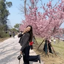 桂林旅游 缩略图 8
