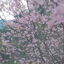 桂林旅游 缩略图 8