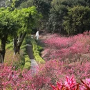 佛山旅游 缩略图 18