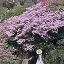 桂林旅游 缩略图 7