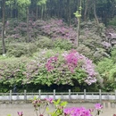 桂林旅游 缩略图 9