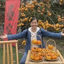 桂林旅游 缩略图 1