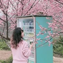 桂林旅游 缩略图 2