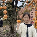 桂林旅游 缩略图 3