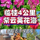 桂林旅游 缩略图 1