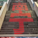 南宁旅游 缩略图 1