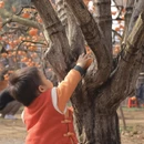 桂林旅游 缩略图 7