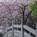柳州旅游 缩略图 8