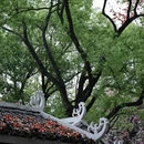 柳州旅游 缩略图 9
