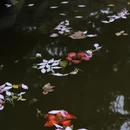 柳州旅游 缩略图 5