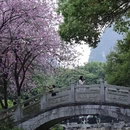 柳州旅游 缩略图 7