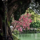 桂林旅游 缩略图 2