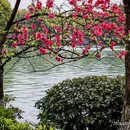 桂林旅游 缩略图 1
