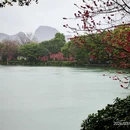 桂林旅游 缩略图 7