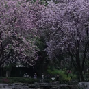 柳州旅游 缩略图 10
