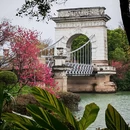 桂林旅游 缩略图 16