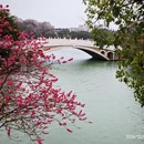 桂林旅游 缩略图 12
