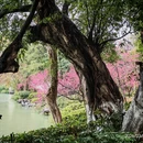 桂林旅游 缩略图 9