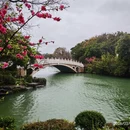 桂林旅游 缩略图 15