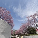 桂林旅游 缩略图 1