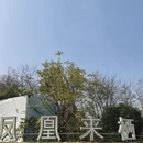 桂林旅游 缩略图 2