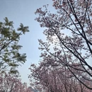 桂林旅游 缩略图 4
