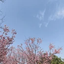 桂林旅游 缩略图 3