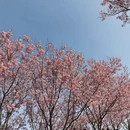 桂林旅游 缩略图 7