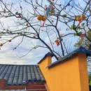 桂林旅游 缩略图 3