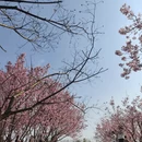 桂林旅游 缩略图 6