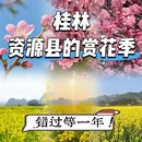 桂林旅游 缩略图 1