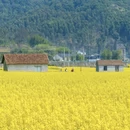 桂林旅游 缩略图 6