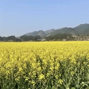 桂林旅游 缩略图 5