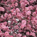 桂林旅游 缩略图 12