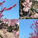 南宁旅游 缩略图 1
