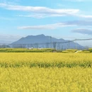 桂林旅游 缩略图 7