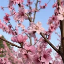 桂林旅游 缩略图 10