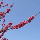南宁旅游 缩略图 2
