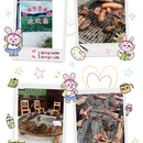 桂林旅游 缩略图 16