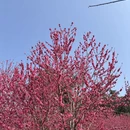 南宁旅游 缩略图 5