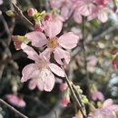 南宁旅游 缩略图 7